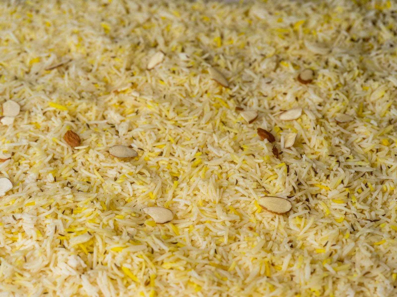 Vegetable Biryani