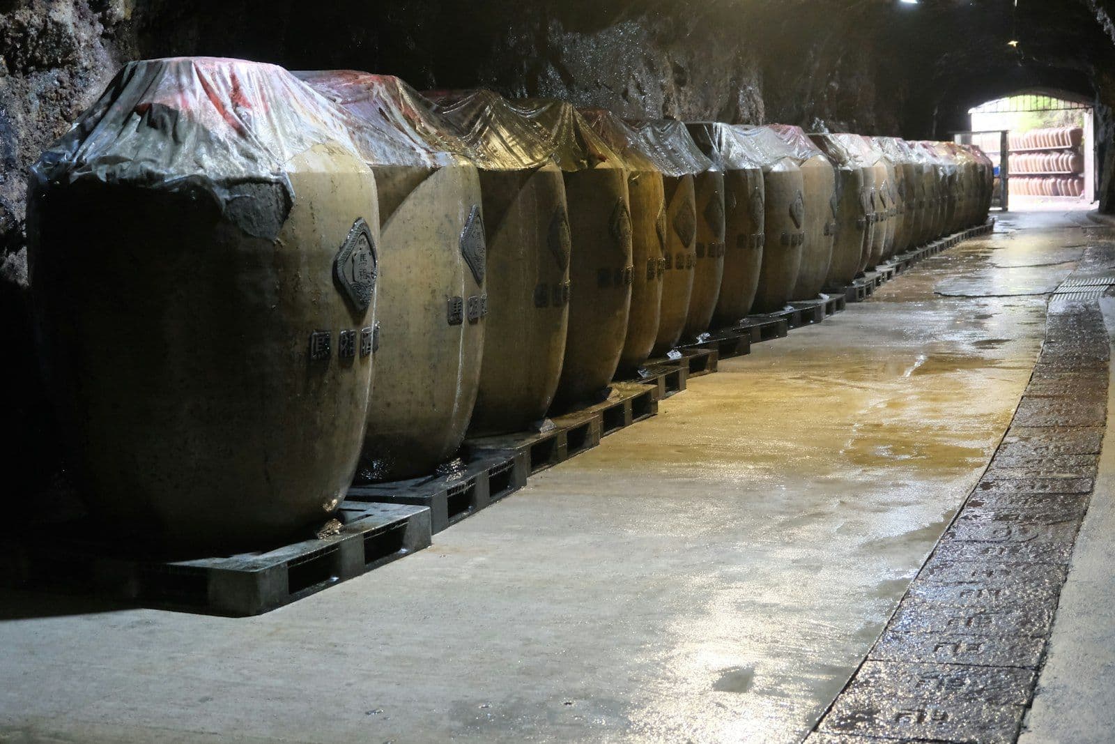 The Cellar